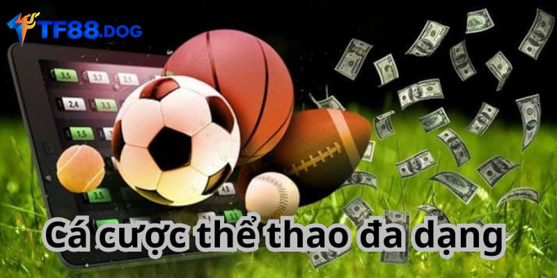 Cá cược thể thao đa dạng 