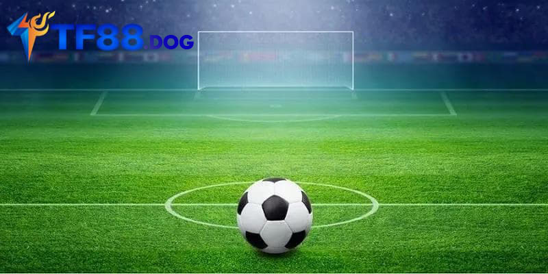 Điều kiện và điều khoản nhận khuyến mãi tại TF88